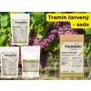 Sada Tramín červený Sada Tramín červený