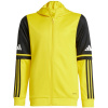 adidas Squadra 25 Hoody Jr JP3386 adidas Squadra 25 Hoody Jr JP3386