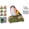 Polyresinová záhradná dekorácia vtáčika na kameni so senzorom a so zvukom v šiestich prevedeniach 13 x 14 cm 43144 Polyresinová záhradná dekorácia vtáčika na kameni so senzorom a so zvukom v šiestich prevedeniach 13 x 14 cm 43144