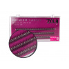Zola Premium Cluster Lashes Birdtail umělé trsové vějířkové řasy délka: 10 mm Zola Premium Cluster Lashes Birdtail umělé trsové vějířkové řasy délka: 10 mm