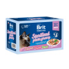 Brit Premium Cat Delicate Fillets in Gravy Family Plate Sterilised 12 x 85 g Brit Premium Cat Delicate Fillets in Gravy Family Plate Sterilised 12 x 85 g