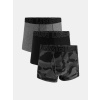 Under Armour Men's Boxers M UA Perf Tech Nov 3in - 3pk - Men's čierna XL Under Armour 1200122276355 Under Armour Men's Boxers M UA Perf Tech Nov 3in - 3pk - Men's čierna XL Under Armour 1200122276355
