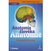 Anatomie člověka Anatomie člověka