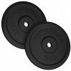 PHYSIONICS Záťažové kotúče 2 x 15 kg, 31 mm, liatina PHYSIONICS Záťažové kotúče 2 x 15 kg, 31 mm, liatina