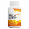 Tribulus terrestris tablety GymSupps bez príchute 0 g Tribulus terrestris tablety GymSupps bez príchute 0 g