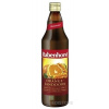 Rabenhorst Pomarančovo-rakytníkový nektár 0,75 l Rabenhorst Pomarančovo-rakytníkový nektár 0,75 l