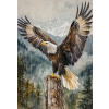 Diamantové maľovanie Norimpex 40x30 cm Orol s roztiahnutými krídlami Diamantové maľovanie Norimpex 40x30 cm Orol s roztiahnutými krídlami