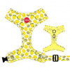 Postroj Reedog LEMON - S LEMON S Postroj Reedog LEMON - S LEMON S