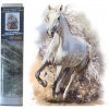 Norimpex Diamantové maľovanie Biely žrebec 40x30cm Norimpex Diamantové maľovanie Biely žrebec 40x30cm
