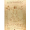 Enjoy Leoardo da Vinci: The Vitruvian Man 1000 dielov Enjoy Leoardo da Vinci: The Vitruvian Man 1000 dielov