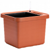 PLASTIA Truhlík samozavlažovací BERBERIS UNO teracota 45x40x35 cm PLASTIA Truhlík samozavlažovací BERBERIS UNO teracota 45x40x35 cm