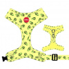 Postroj Reedog AVOCADO - XXS Postroj Reedog AVOCADO - XXS