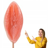 Adarceky Lízátko vagína 70g Adarceky Lízátko vagína 70g