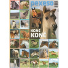 Pexeso Koně Pexeso Koně