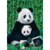 EUROGRAPHICS Puzzle Panda a mláďa 1000 dielikov EUROGRAPHICS Puzzle Panda a mláďa 1000 dielikov