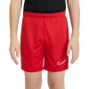 Detské šortky Dry Academy 21 CW6109-657 - Nike S