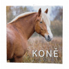 Koně 2026 - nástěnný kalendář Koně 2026 - nástěnný kalendář