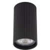TK Lighting Tune stropné svietidlo 1x10 W čierna 10022 TK Lighting Tune stropné svietidlo 1x10 W čierna 10022