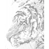 ZUTY Bodkovanie - BIELY TIGER S KVETMI Rámovanie: vypnuté plátno na rám, Rozmer: 80x100 cm ZUTY Bodkovanie - BIELY TIGER S KVETMI Rámovanie: vypnuté plátno na rám, Rozmer: 80x100 cm