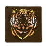 Led obraz Tiger na batériu (Moderné obrazy zvierat s led podsvietením 62x62 cm) Led obraz Tiger na batériu (Moderné obrazy zvierat s led podsvietením 62x62 cm)