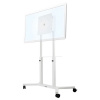 Fiber Mounts Profesionální videokonferenční stojan Edbak TRF100 Fiber Mounts Profesionální videokonferenční stojan Edbak TRF100