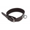 Farbiarsky kožený obojok 35 cm hnedý Farbiarsky kožený obojok 35 cm hnedý