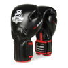 DBX Bushido BB2 boxerské rukavice DBX BUSHIDO Veľkosť: 10oz