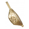 Goldbergh Lunessa Fanny Pack Gold Goldbergh Lunessa Fanny Pack Gold