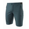 Pánske šortky DYNAFIT Transalper 2 Light Dst Shorts M Pánske šortky DYNAFIT Transalper 2 Light Dst Shorts M