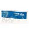 Farma-Derma s.r.l. CICATRIDINA masť 1x30 g Farma-Derma s.r.l. CICATRIDINA masť 1x30 g