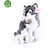 Rappa Vlk s mláďaťom sediaci, 27 cm 8590687320109 Rappa Vlk s mláďaťom sediaci, 27 cm 8590687320109