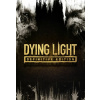 Dying Light Definitive Edition - Steam PC Dying Light Definitive Edition - Steam PC
