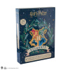 Harry Potter Advent Calendar Hogwarts Wizarding World 2022 Harry Potter Advent Calendar Hogwarts Wizarding World 2022