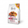 Brit Animals Guinea Pig Complete 300g Brit Animals Guinea Pig Complete 300g