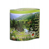 Basilur Four Seasons Summer Tea plech 100g (7572) Basilur Four Seasons Summer Tea plech 100g (7572)