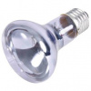 Trixie Neodymium Basking-Spot-Lamp 35 W Trixie Neodymium Basking-Spot-Lamp 35 W