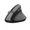 TRU Trust TM-270 myš Kancelária Pravoruké RF Wireless Optický 2400 DPI TRU Trust TM-270 myš Kancelária Pravoruké RF Wireless Optický 2400 DPI