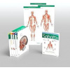 Sobotta Atlas of Anatomy Package English Latin - Paulsen Friedrich Sobotta Atlas of Anatomy Package English Latin - Paulsen Friedrich