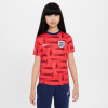 Nike England Academy Pro Pre Match Shirt 2024 Juniors Red/Blue 11-12 rokov Nike England Academy Pro Pre Match Shirt 2024 Juniors Red/Blue 11-12 rokov