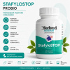 Medveď natural StafyloSTOP 60 kapsúl (Imunita) Medveď natural StafyloSTOP 60 kapsúl (Imunita)