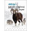 Ako žije muflón lesný - Kňaze Ivan Ako žije muflón lesný - Kňaze Ivan