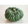 Maria di chioggia - Tekvica (semená) Maria di chioggia - Tekvica (semená)