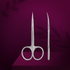 SX-22/2m Staleks Professional cuticle scissors EXCLUSIVE 22 TYPE 2 magnolia SX-22/2m Staleks Professional cuticle scissors EXCLUSIVE 22 TYPE 2 magnolia