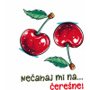 Nažehľovačka/DTF transfer Čerešne II Nálepka - výška: A5 Nažehľovačka/DTF transfer Čerešne II Nálepka - výška: A5