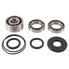 All Balls Racing Ložiská tesnenie diferenciálu sada All Balls Racing DB25-2108 All Balls Racing Ložiská tesnenie diferenciálu sada All Balls Racing DB25-2108