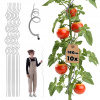 ŠPIRÁLOVÁ TYČ NA KVETY, POPÍNAVÉ RASTLINY, PARADAJKY, PODPERA 180 cm 10 ks ŠPIRÁLOVÁ TYČ NA KVETY, POPÍNAVÉ RASTLINY, PARADAJKY, PODPERA 180 cm 10 ks