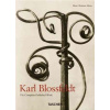 Karl Blossfeldt Karl Blossfeldt