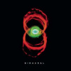 CD Pearl Jam: Binaural CD Pearl Jam: Binaural