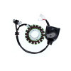 ELECTROSPORT ESG615 VINUTIE ALTERNÁTORA ELECTROSPORT (STATOR) YAMAHA 125 X-MAX (06-14), X-CITY (08-13) (S PULZÁTOROM) ELECTROSPORT ESG615 VINUTIE ALTERNÁTORA ELECTROSPORT (STATOR) YAMAHA 125 X-MAX (06-14), X-CITY (08-13) (S PULZÁTOROM)