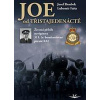 Joe od třistajedenácté Joe od třistajedenácté